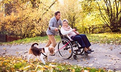 cane disabilita fisica