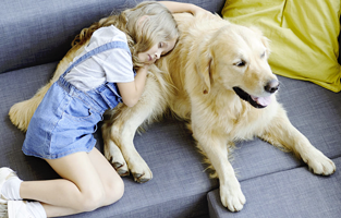 corso pet therapy